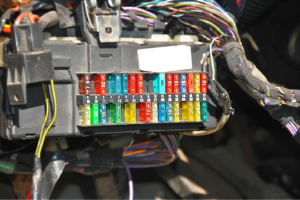 Electrical and Electronic